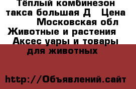 Тёплый комбинезон такса большая Д › Цена ­ 800 - Московская обл. Животные и растения » Аксесcуары и товары для животных   